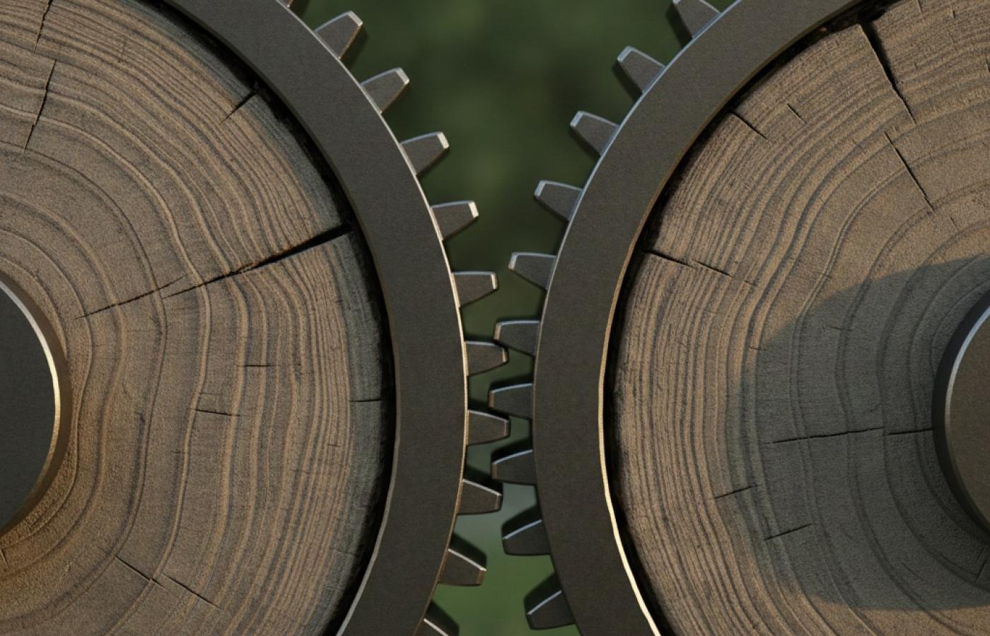 Interlocking gears with tree rings signifying partnerships over time