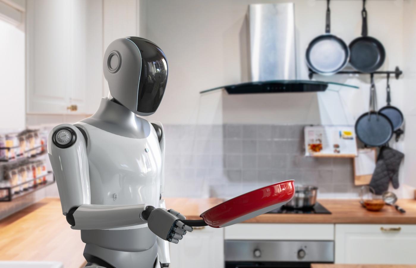 Robot holding a pan 