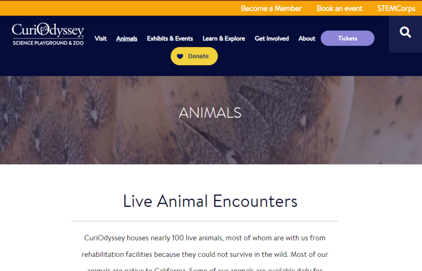 Curiodyssey animal homepage