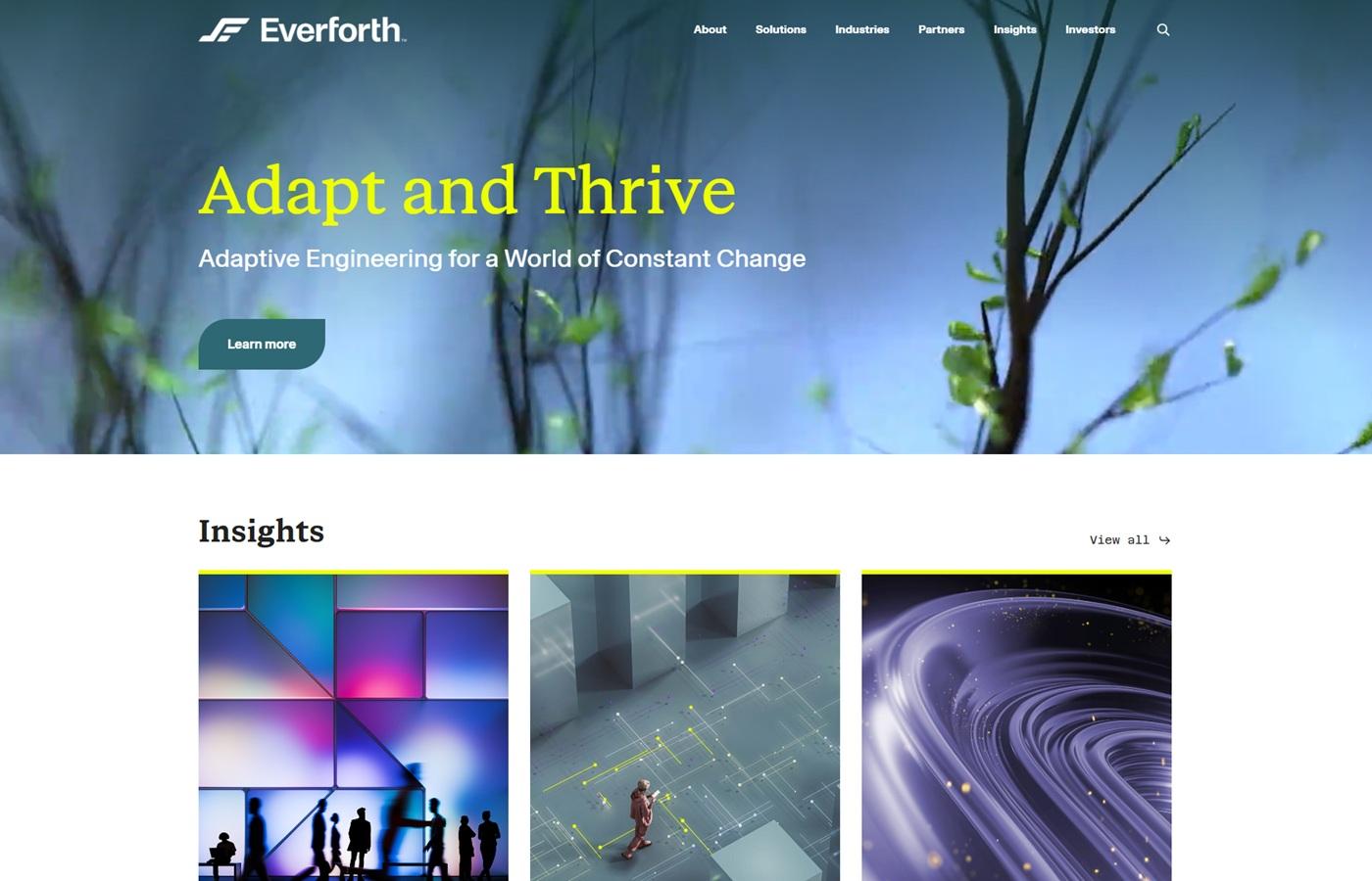 Everforth website homepage