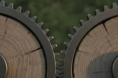 Interlocking gears with tree rings signifying partnerships over time